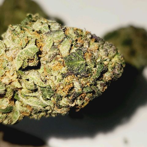 White Heat growlog timeline photo