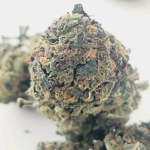 White Heat growlog timeline photo