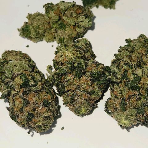 White Heat growlog timeline photo