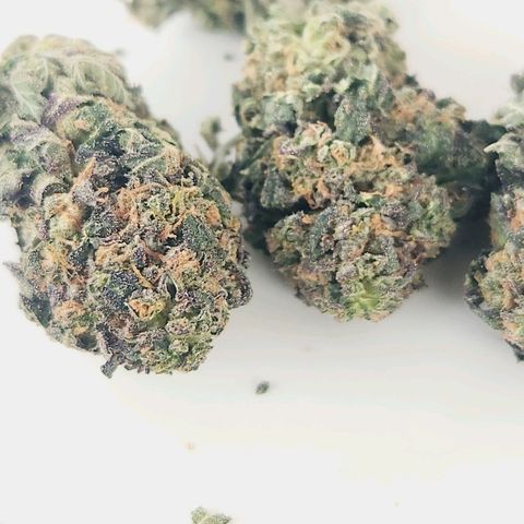 White Heat growlog timeline photo