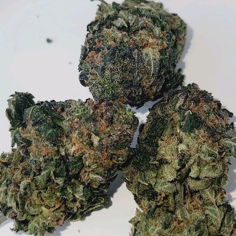 White Heat growlog timeline photo