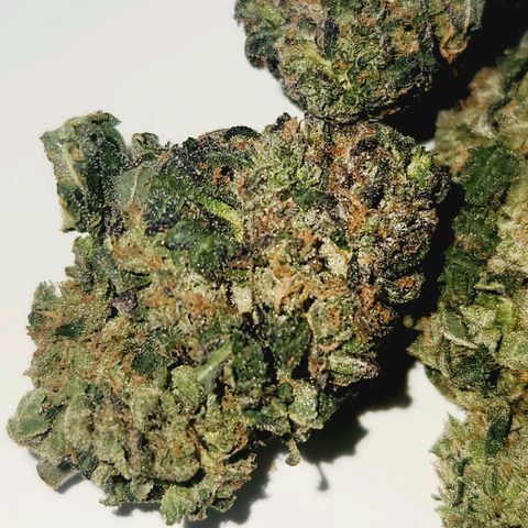 White Heat growlog timeline photo