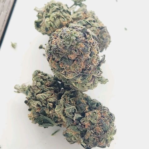 White Heat growlog timeline photo