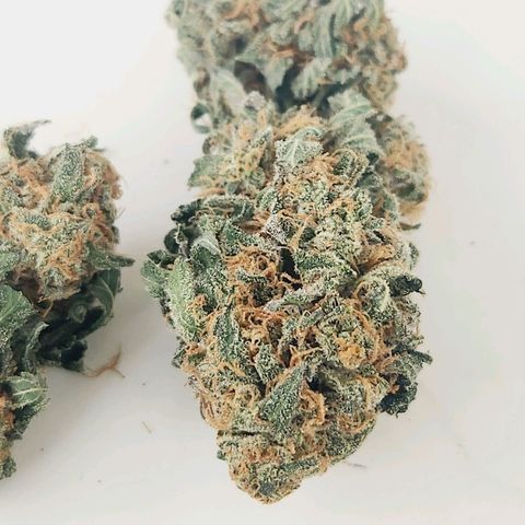 Sour Patch Kiss growlog timeline photo