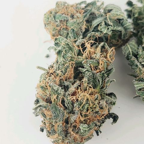 Sour Patch Kiss growlog timeline photo