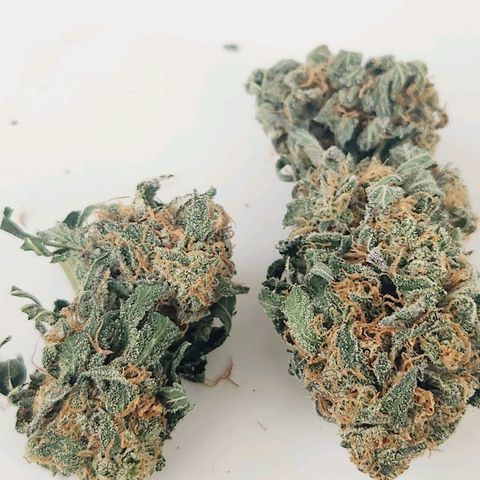 Sour Patch Kiss growlog timeline photo