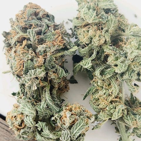 Sour Patch Kiss growlog timeline photo