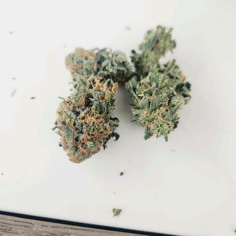 Sour Patch Kiss growlog timeline photo