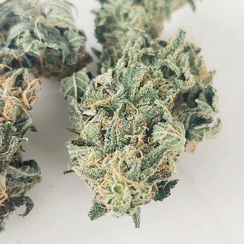 Sour Patch Kiss growlog timeline photo