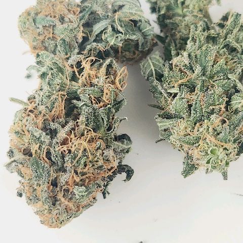 Sour Patch Kiss growlog timeline photo