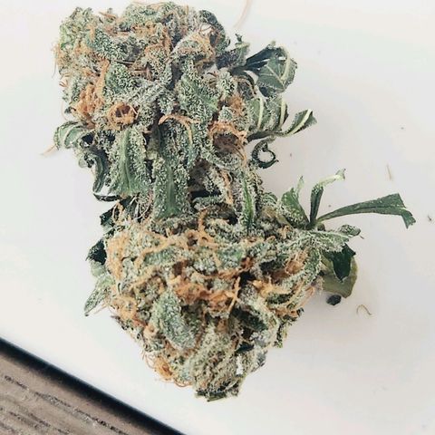 Sour Patch Kiss growlog timeline photo