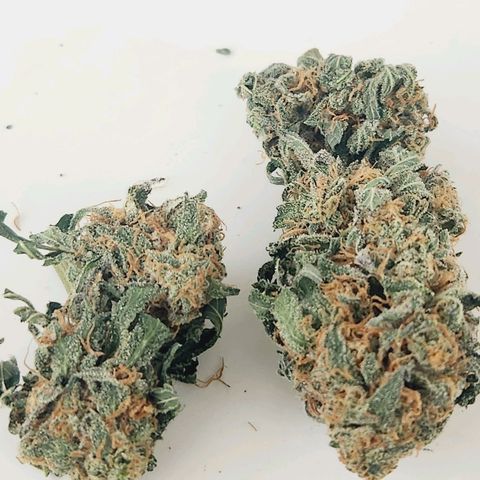 Sour Patch Kiss growlog timeline photo