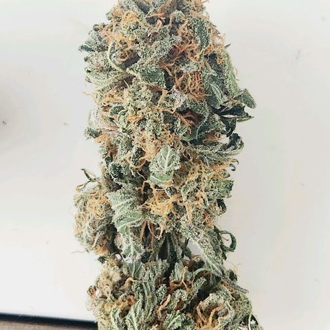 Sour Patch Kiss growlog timeline photo