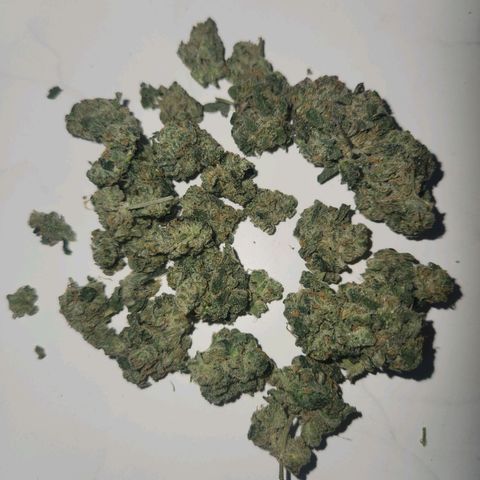 Gorilla Runtz growlog timeline photo