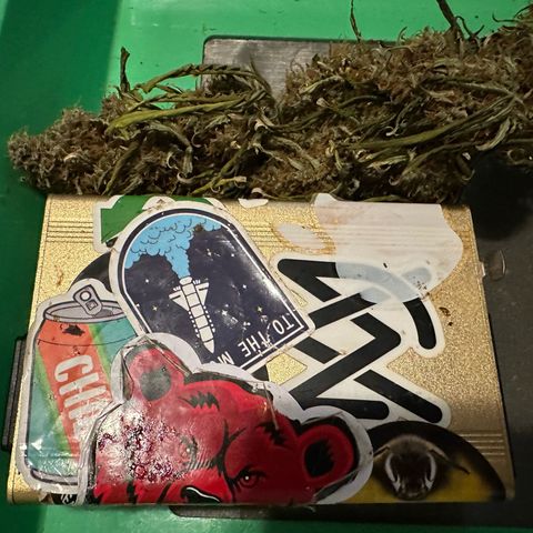 FB420 Original Gorilla 🦍Zkittles Blue growlog timeline photo
