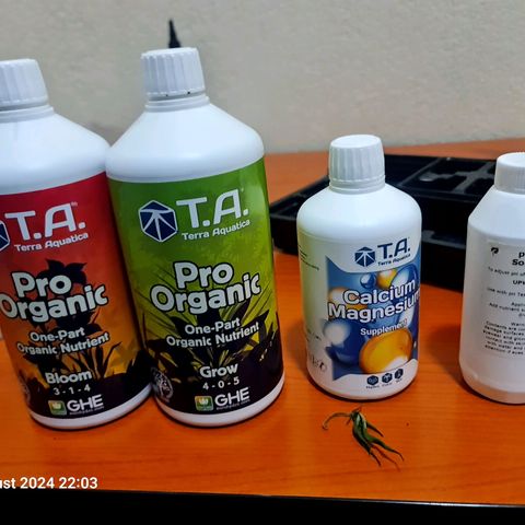 Deep Water Culture  growlog timeline photo