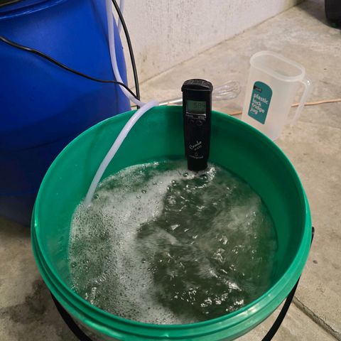 Deep Water Culture  growlog timeline photo
