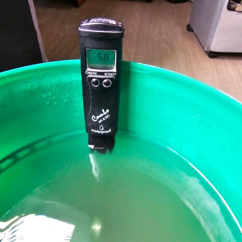 Deep Water Culture  growlog timeline photo