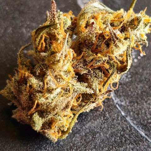 Sweet Cheese Auto growlog photo: 285 grams dry