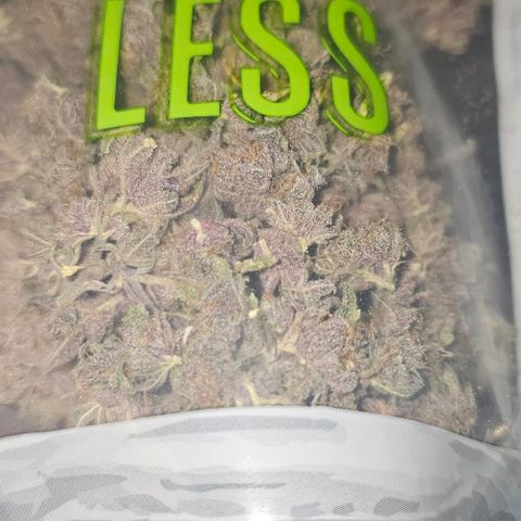 Tropicana Cherry growlog timeline photo