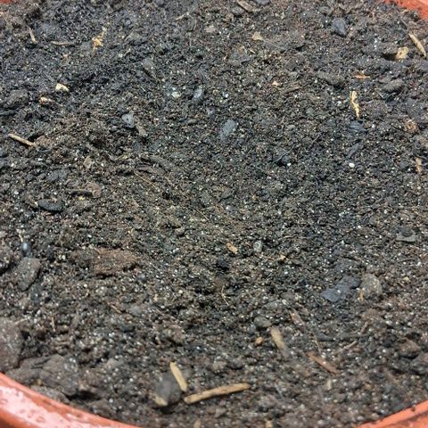 Gimli growlog timeline photo