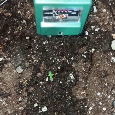 Power  #2 growlog timeline photo