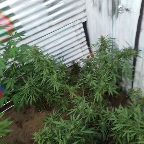 Power  #2 growlog timeline photo