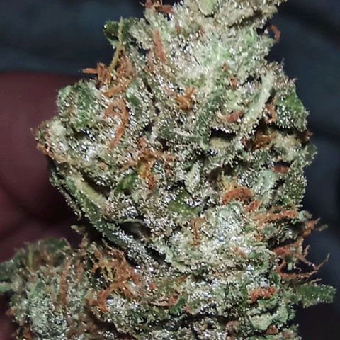 Power  #2 growlog timeline photo