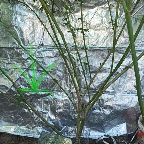 24 K growlog timeline photo