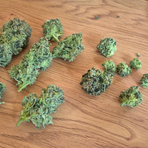 HulkBerry Automatic growlog photo: Harvested the first one 