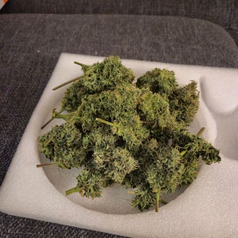 HulkBerry Automatic growlog photo: Zweite Pflanze geerntet. 145 gramm nass 