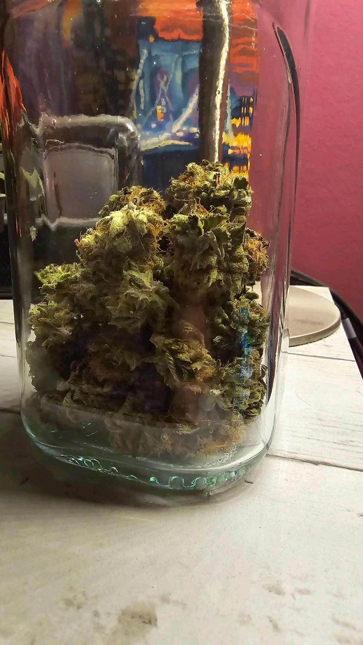 White Widow growlog photo 331