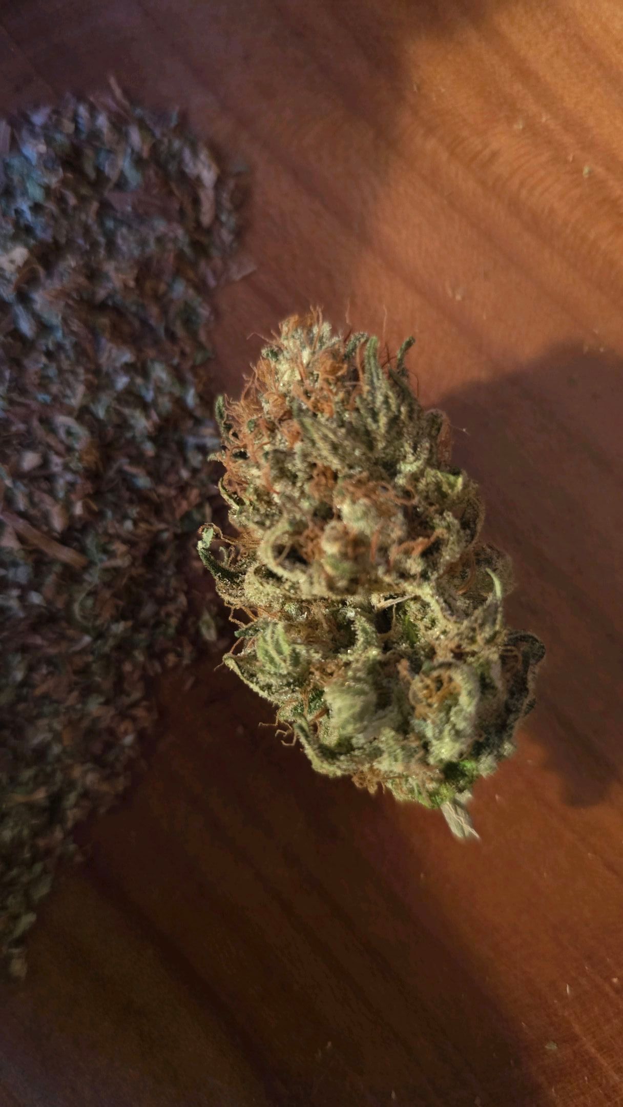 White Widow growlog photo 332