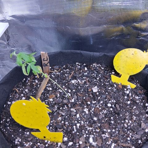 R.C.Colas. growlog timeline photo