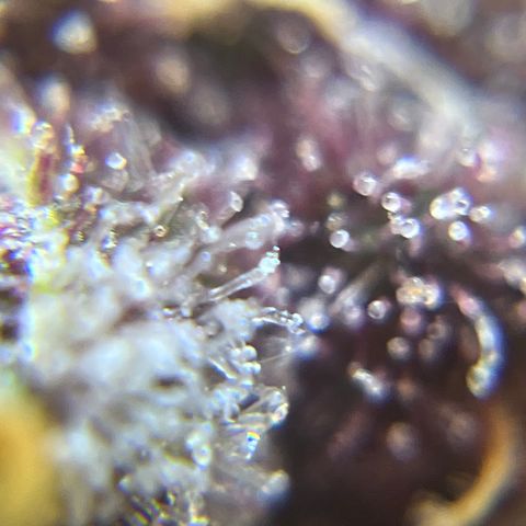 Bruce Banner #3 [Auto] (A.G. - 01) growlog timeline photo