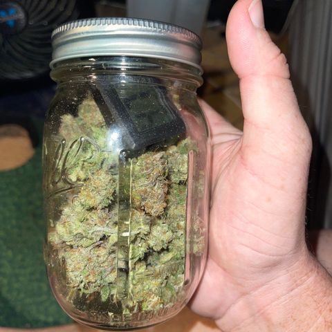 Electric Qoolaid growlog timeline photo