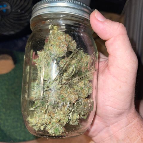Electric Qoolaid growlog timeline photo