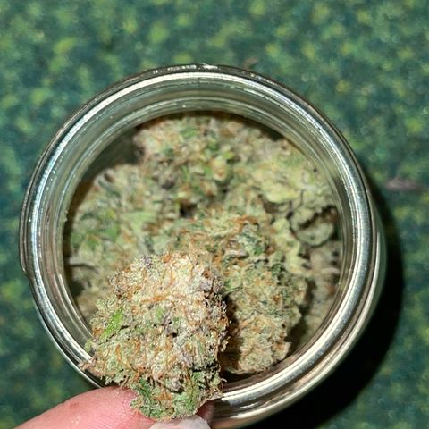 Electric Qoolaid growlog timeline photo