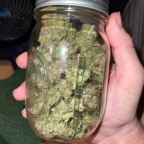 Electric Qoolaid growlog timeline photo