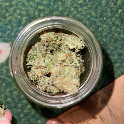 Electric Qoolaid growlog timeline photo