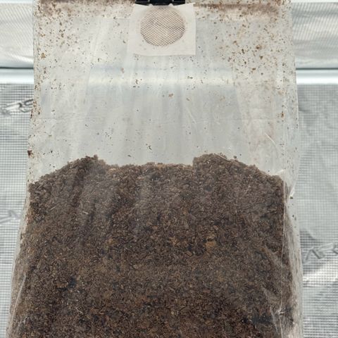 The Queen S1 growlog photo: C02 bag added 