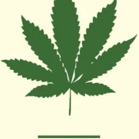 Regular seed (no name) growlog timeline photo