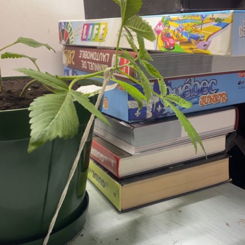 Génétique inconnue growlog timeline photo