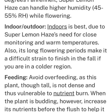 Super Lemon Haze Automatic growlog timeline photo