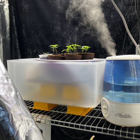 Spring '24 Grow growlog timeline photo