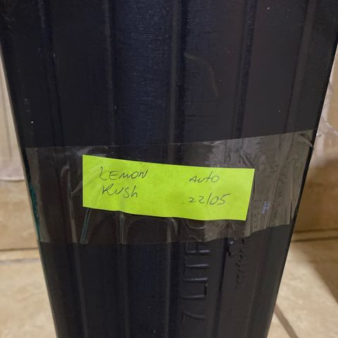 My first Lemon Kush Auto growlog timeline photo