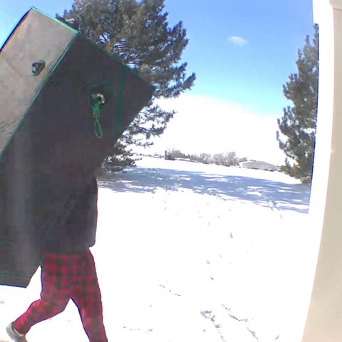 Bubblegum XL growlog photo: Moving the tent due to power failure. 🤣⛄️