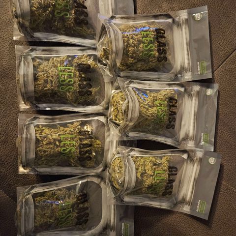 FastBuds Gelato growlog timeline photo