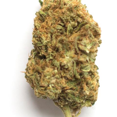 Wedding Cake growlog timeline photo