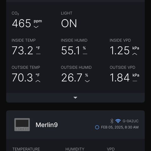 Gorilla Melon growlog photo: Cruise control
